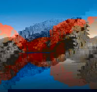 Boodjamulla Lawn Hill National Park - Tourism Gold Coast