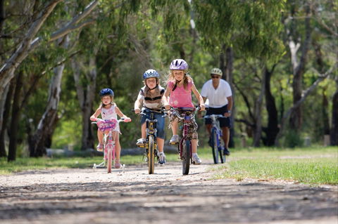 Braeside Park - Tourism Gold Coast 1