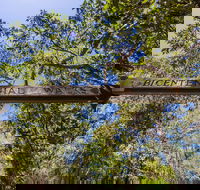 Bribie Island Bicentennial Trails - Tourism Gold Coast