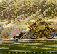 Creswick Regional Park - Tourism Gold Coast