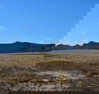 Darke Peak Scenic Drive - Tourism Gold Coast
