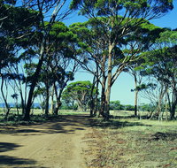 Dumbleyung - Tourism Gold Coast