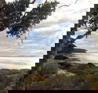 Fish Cannery Walking Trail - Tourism Gold Coast