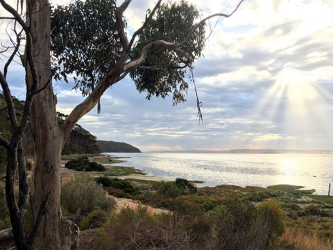 Fish Cannery Walking Trail - Tourism Gold Coast 0