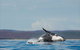 Fraser Coast Region - thumb 1