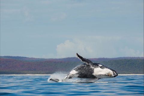 Fraser Coast Region - Tourism Gold Coast 1