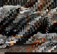 Geckostrands Textile Artist - Gold Coast