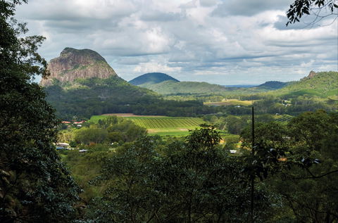 Glass House Mountains National Park - Tourism Gold Coast 2