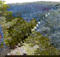 Glenbrook Gorge Track - Tourism Gold Coast