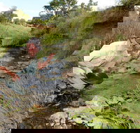 Gold Panning Deep Creek - Gold Coast