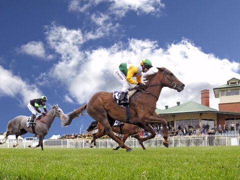 Goulburn And District Racing Club - Tourism Gold Coast 0