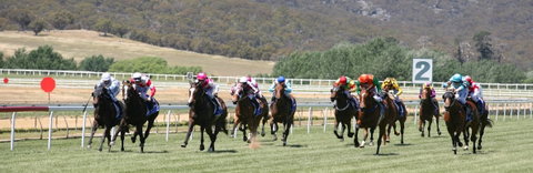 Goulburn And District Racing Club - Tourism Gold Coast 1