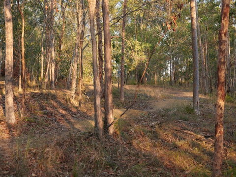 Grande Park - Tourism Gold Coast 2