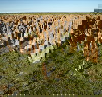 Gulf Region - Tourism Gold Coast