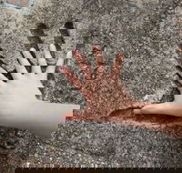 Hands of Fame Park - Tourism Gold Coast