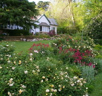 Heysen - The Cedars - Tourism Gold Coast
