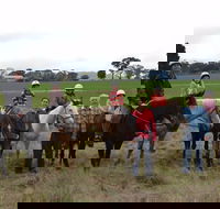 High Country Trail Rides - Tourism Gold Coast