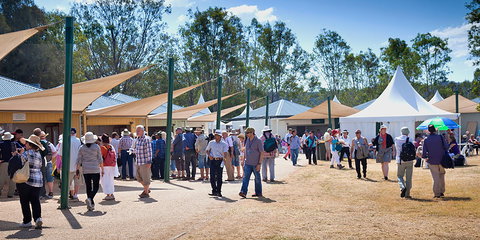 Ivory's Rock Conventions And Events - Gold Coast 2