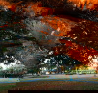 Jubilee Park Mackay - Tourism Gold Coast
