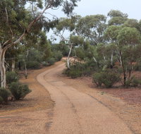 Karlkurla Bushland Park - Tourism Gold Coast