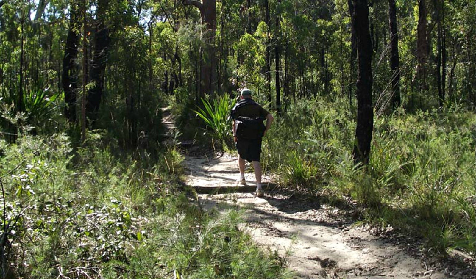Woronora Heights NSW Tourism Gold Coast