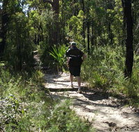 Karloo Walking Track - Tourism Gold Coast