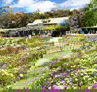 Kate's Berry Farm - Tourism Gold Coast