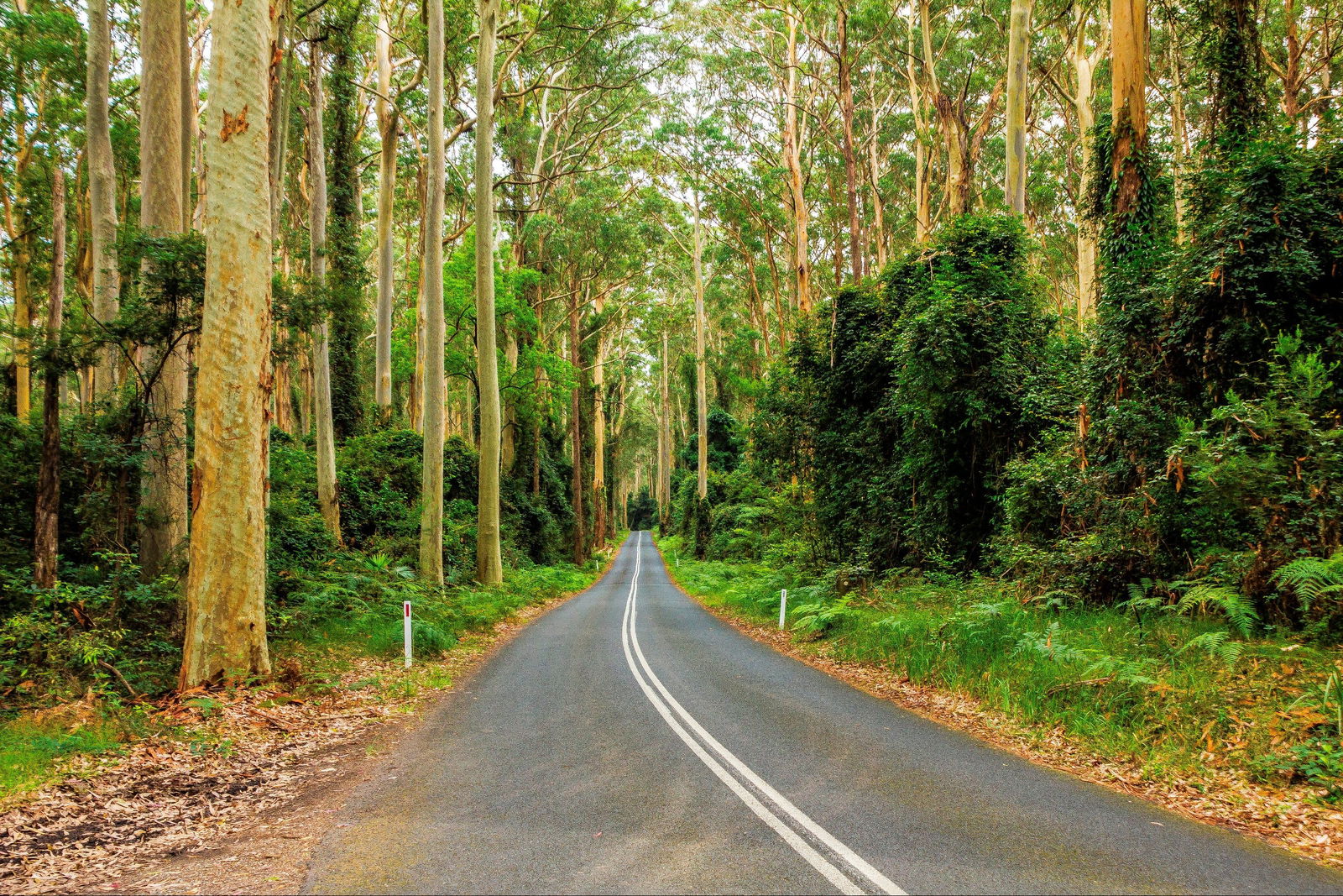 Kioloa NSW Tourism Gold Coast