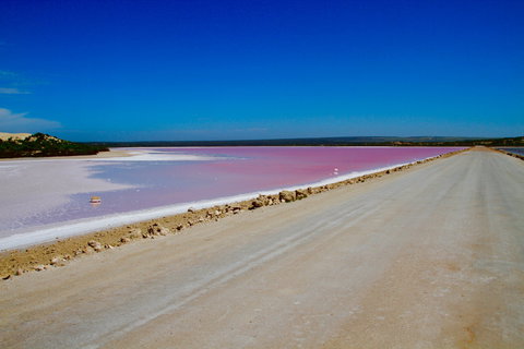 Lake McDonnell - Tourism Gold Coast 0