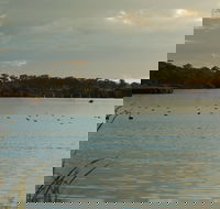 Lake Inverell Reserve - Gold Coast