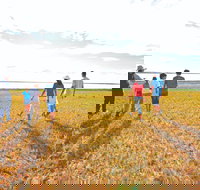 Lake Bindegolly National Park - Tourism Gold Coast