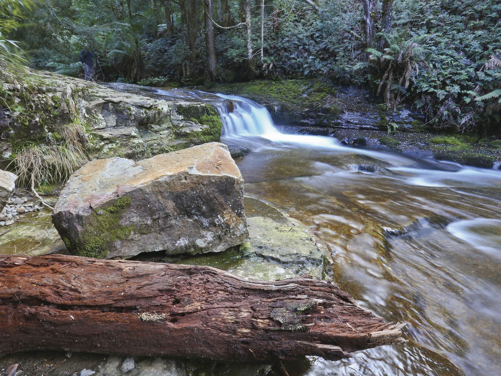 Liffey TAS Tourism Gold Coast