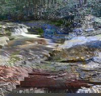 Liffey Falls Reserve - Tourism Gold Coast