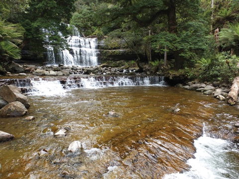 Liffey Falls Reserve - Tourism Gold Coast 1