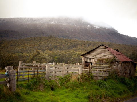 Liffey Falls Reserve - Tourism Gold Coast 2