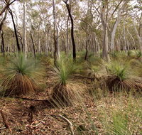 Livingstone National Park - Tourism Gold Coast