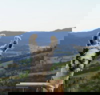 Llama Walks Tasmania - Gold Coast