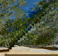 Maidens Tuart Forest - Tourism Gold Coast