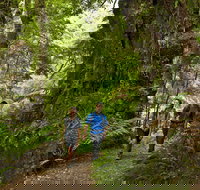 Melba Gully - Gold Coast