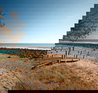 Mon Repos Beach - Tourism Gold Coast