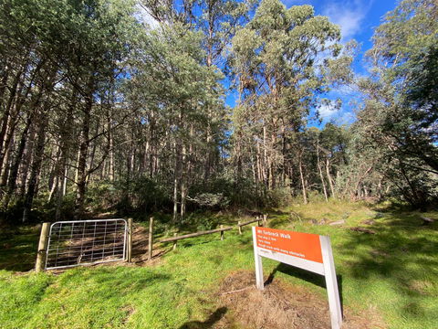 Mount Torbreck Summit Walk - Tourism Gold Coast 1