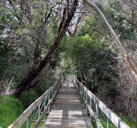Mulwaree River Walkway - Tourism Gold Coast 0