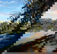 Murray River National Park - Katarapko - Tourism Gold Coast