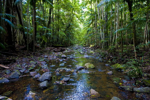 Nambucca Valley - Tourism Gold Coast 0