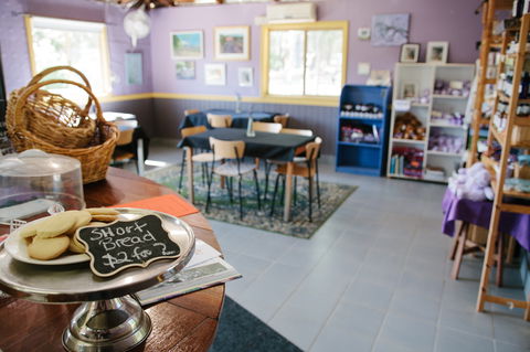 Nannup Lavender Farm - Tourism Gold Coast 0
