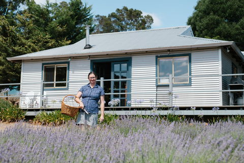 Nannup Lavender Farm - Tourism Gold Coast 1