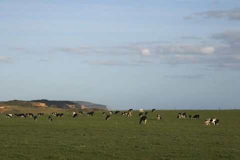 Port Campbell - Gold Coast 2