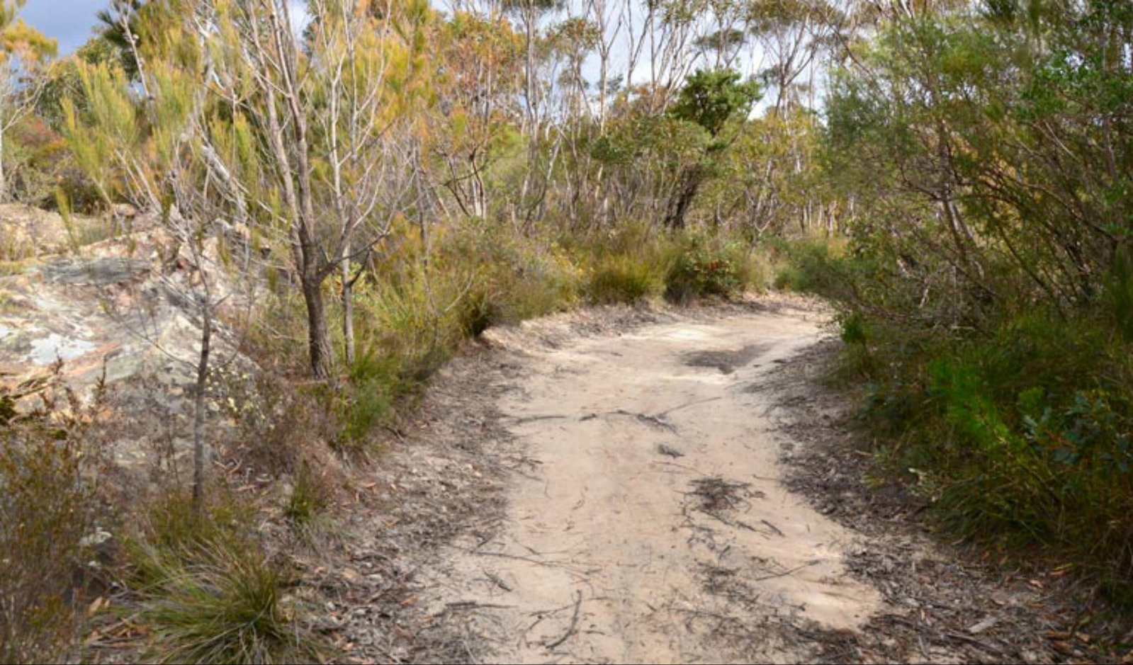 Browns Mountain NSW Tourism Gold Coast