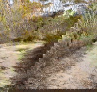 Red Rocks trig walking track - Tourism Gold Coast