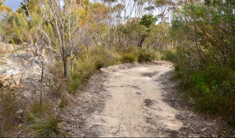 Red Rocks Trig Walking Track - Tourism Gold Coast 0
